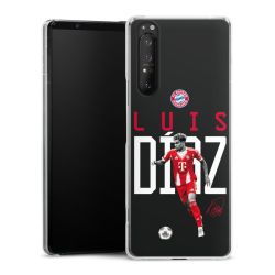 Hard Case transparent