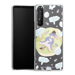 Skyddskal genomskinlig