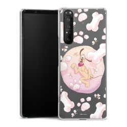 Skyddskal genomskinlig