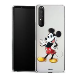 Skyddskal genomskinlig