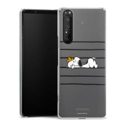 Hard Case transparent