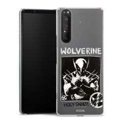 Skyddskal genomskinlig