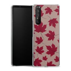 Skyddskal genomskinlig