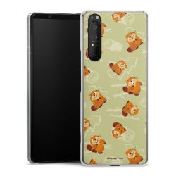 Hard Case transparent