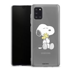 Hard Case transparent