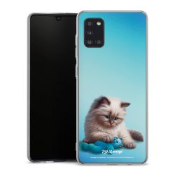 Hard Case transparent