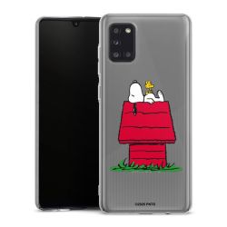 Hard Case transparent