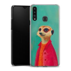 Hard Case transparent