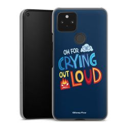 Skyddskal genomskinlig