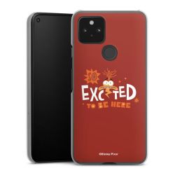 Skyddskal genomskinlig