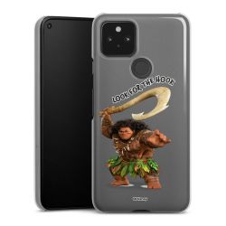 Skyddskal genomskinlig