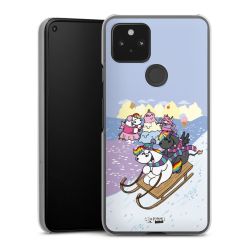 Hard Case transparent