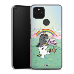 Hard Case transparent