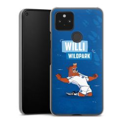 Hard Case transparent