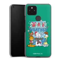 Hard Case transparent