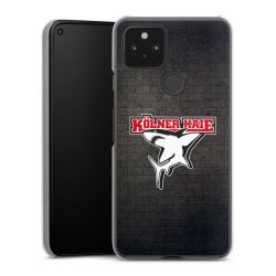 Hard Case transparent