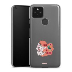 Skyddskal genomskinlig