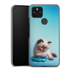 Hard Case transparent