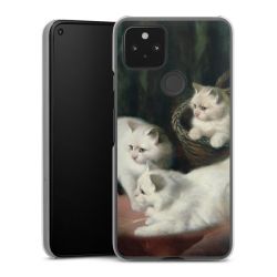 Skyddskal genomskinlig