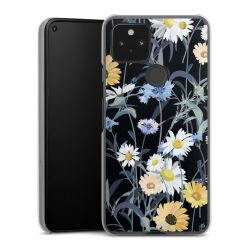 Skyddskal genomskinlig