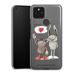 Hard Case transparent