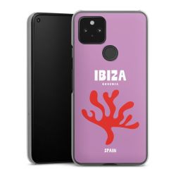 Hard Case transparent