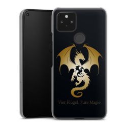 Hard Case transparent