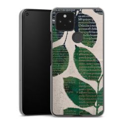 Hard Case transparent