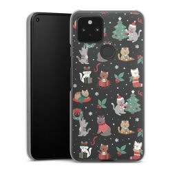 Hard Case transparent