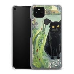 Skyddskal genomskinlig