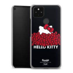 Hard Case transparent