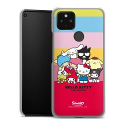 Hard Case transparent