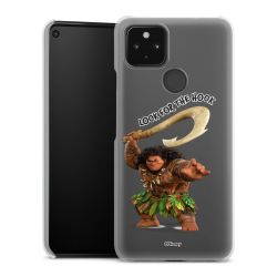 Hard Case transparent