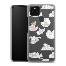 Suojakuori läpinäkyvä