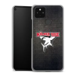 Hard Case transparent