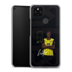 Skyddskal genomskinlig