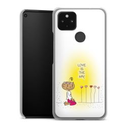 Hard Case transparent