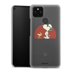 Hard Case transparent