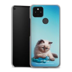 Hard Case transparent