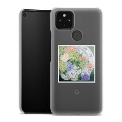 Skyddskal genomskinlig