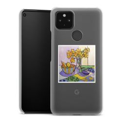 Skyddskal genomskinlig