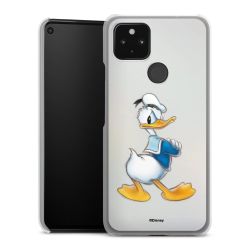 Skyddskal genomskinlig