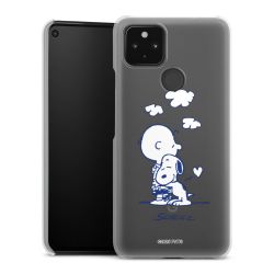 Hard Case transparent