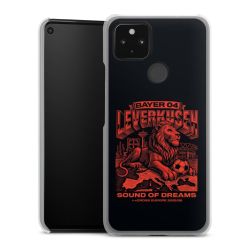 Hard Case transparent