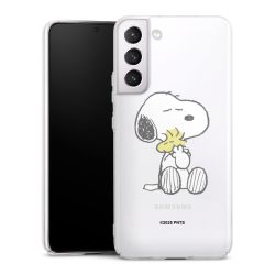 Skyddskal genomskinlig