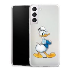 Skyddskal genomskinlig