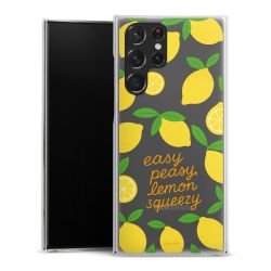 Hard Case transparent