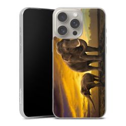 Silicone Slim Case transparent