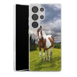 Silikonskal Slim genomskinlig