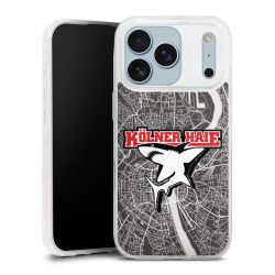 Kölner Haie City